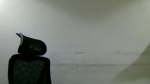 Bisho online show from July 2026 11:23:02 AM