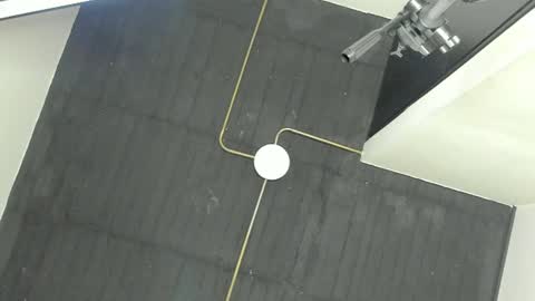 King Dante  online show from December 2024 07:20:02 AM