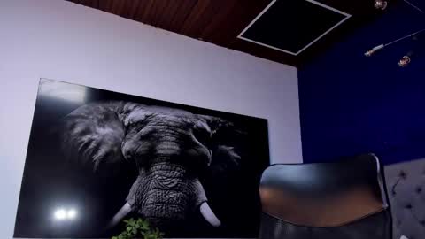 Angel Falconer online show from January 2026 02:16:02 AM