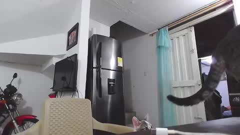 king_russo online show from January 2025 03:12:02 AM