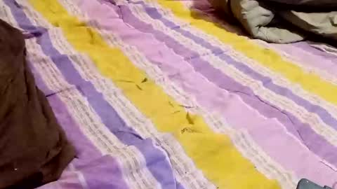 kingbat30 online show from March 2025 12:42:02 AM