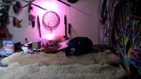 Jerry online show from March 2026 01:24:02 AM