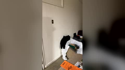 kingecstasyxxxddd online show from January 2026 08:51:02 AM