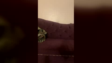 kingecstasyxxxddd online show from March 2026 04:54:01 PM