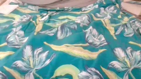 kingindisguise69 online show from February 2025 11:19:02 PM