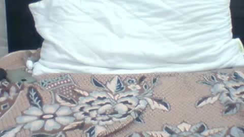 Snapshot of kingjordan122 chatting on January 2025 06:09:01 PM kingjordan122 online show from January 2025 06:09:01 PM