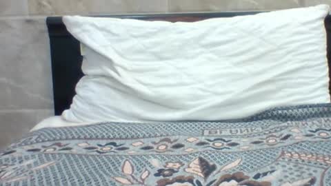 Snapshot of kingjordan122 chatting on January 2025 07:15:01 PM kingjordan122 online show from January 2025 07:15:01 PM