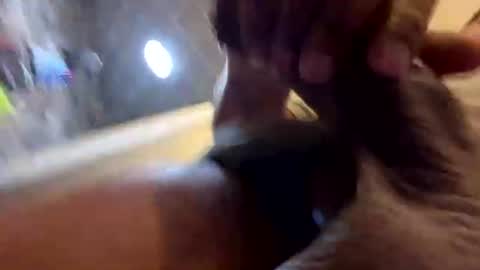 Snapshot of kingshyster chatting on July 2026 03:14:02 PM kingshyster online show from July 2026 03:14:02 PM
