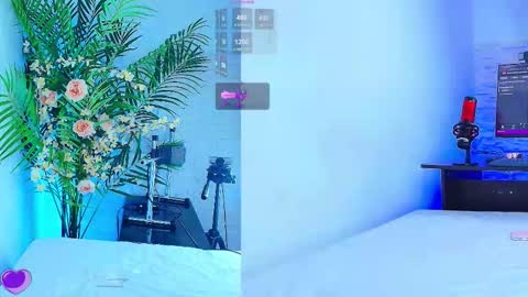    online show from November 2025 12:11:02 AM