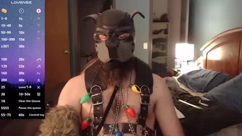 kinkywolf87 online show from December 2024 08:05:02 PM