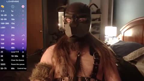 kinkywolf87 online show from December 2024 07:10:01 AM