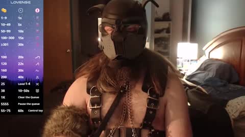 kinkywolf87 online show from January 2025 06:47:02 AM