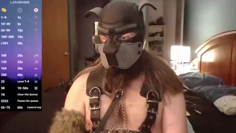 kinkywolf87 online show from January 2025 07:06:02 PM