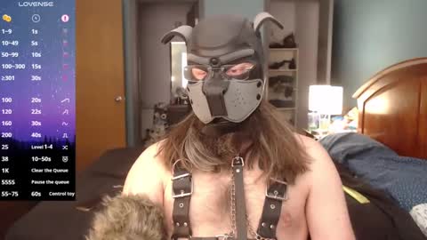 kinkywolf87 online show from January 2025 07:05:01 PM
