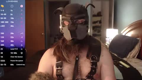 kinkywolf87 online show from February 2025 09:56:01 PM