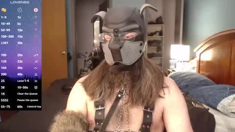 kinkywolf87 online show from February 2025 07:38:02 PM