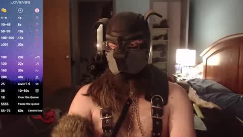 kinkywolf87 online show from February 2025 10:09:02 PM