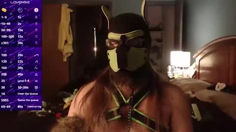 kinkywolf87 online show from December 2025 05:02:02 AM