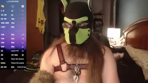 kinkywolf87 online show from April 2026 03:09:02 PM