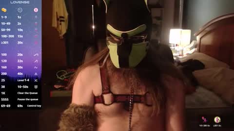 Snapshot of kinkywolf87 chatting on April 2026 06:33:02 AM kinkywolf87 online show from April 2026 06:33:02 AM