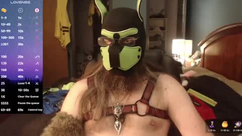 Snapshot of kinkywolf87 chatting on June 2026 06:40:01 PM kinkywolf87 online show from June 2026 06:40:01 PM