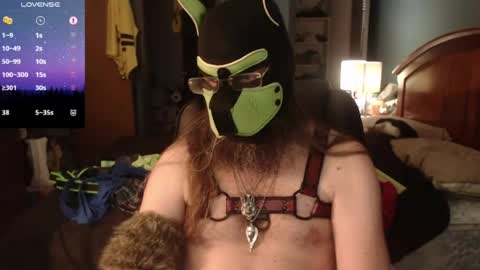 Snapshot of kinkywolf87 chatting on June 2026 10:23:02 PM kinkywolf87 online show from June 2026 10:23:02 PM