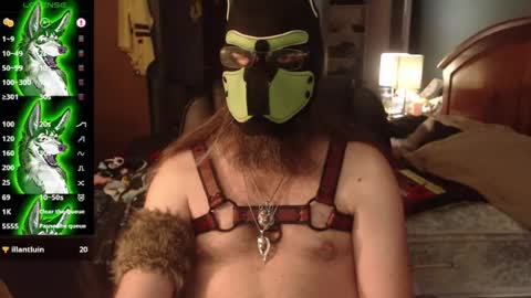 Snapshot of kinkywolf87 chatting on July 2026 12:06:01 AM kinkywolf87 online show from July 2026 12:06:01 AM