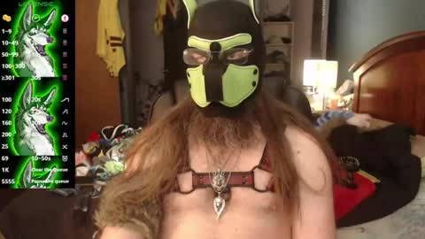 Snapshot of kinkywolf87 chatting on July 2026 09:44:02 PM kinkywolf87 online show from July 2026 09:44:02 PM