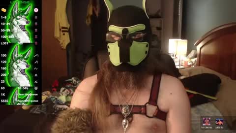 Snapshot of kinkywolf87 chatting on July 2026 10:12:01 PM kinkywolf87 online show from July 2026 10:12:01 PM