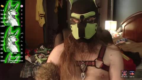 Snapshot of kinkywolf87 chatting on July 2026 03:47:01 PM kinkywolf87 online show from July 2026 03:47:01 PM