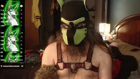 Snapshot of kinkywolf87 chatting on July 2026 03:47:01 PM kinkywolf87 online show from July 2026 03:47:01 PM
