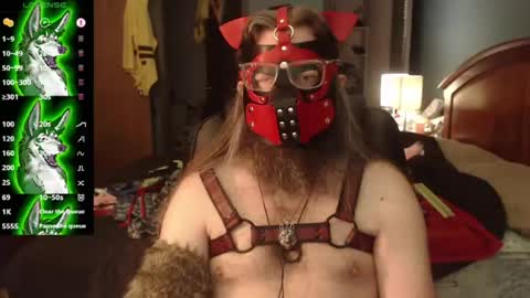 Snapshot of kinkywolf87 chatting on July 2026 04:54:02 PM kinkywolf87 online show from July 2026 04:54:02 PM