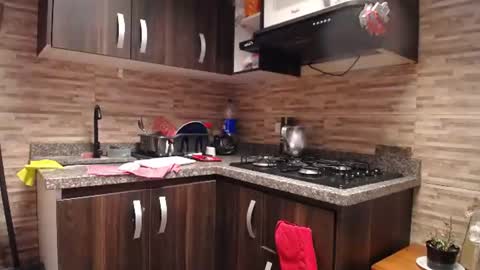 Snapshot of kinkyy_mom chatting on June 2026 02:19:01 PM kinkyy_mom online show from June 2026 02:19:01 PM