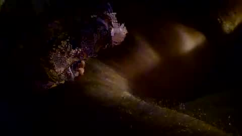 Kitkat loco online show from November 2025 09:54:02 AM