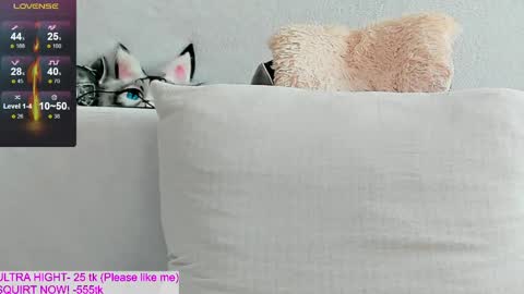 Kitty online show from April 2026 10:54:02 AM