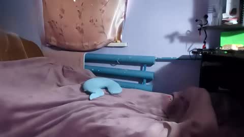 Kitti online show from February 2026 10:36:02 AM