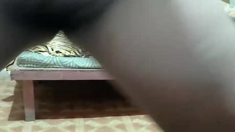 Snapshot of kitty_slut7 chatting on March 2026 10:49:01 PM Kitty online show from March 2026 10:49:01 PM