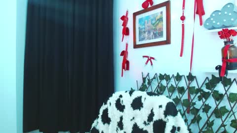 kitty_vaal online show from January 2025 03:49:02 AM