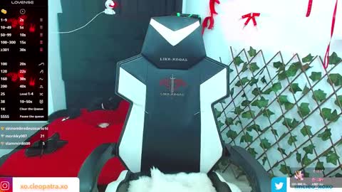 kitty_vaal online show from February 2025 08:06:02 AM