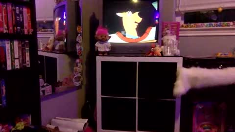 kittykatcoco online show from November 2025 04:23:01 AM