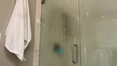 Snapshot of kittypurr79 chatting on January 2025 12:02:01 AM kittypurr79 online show from January 2025 12:02:01 AM