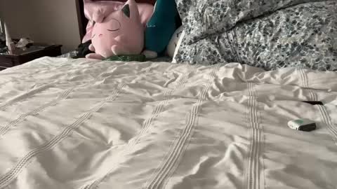 Snapshot of kittypurr79 chatting on January 2025 12:07:01 AM kittypurr79 online show from January 2025 12:07:01 AM