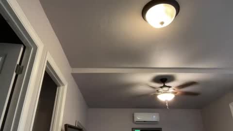 Snapshot of kittypurr79 chatting on September 2025 02:02:01 AM kittypurr79 online show from September 2025 02:02:01 AM