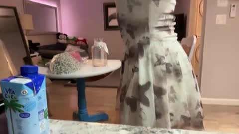 Snapshot of kittypurr79 chatting on September 2025 03:11:01 AM kittypurr79 online show from September 2025 03:11:01 AM