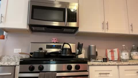 kittypurr79 online show from November 2025 04:34:02 AM