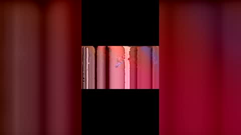 kittypurrrrry online show from March 2026 05:31:02 PM