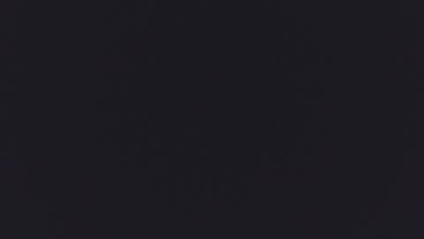 Kitty  online show from September 2025 12:17:02 PM