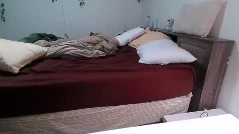 Kittyymaze online show from December 2025 12:44:02 PM