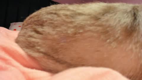 Snapshot of kiyoko_yun chatting on April 2026 06:10:01 PM Yuna online show from April 2026 06:10:01 PM