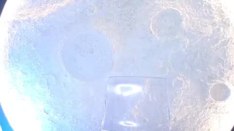 K L O E online show from September 2025 12:05:02 PM